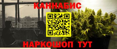 spice Гай