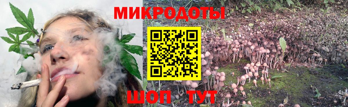 Березники  Галлюциногенные грибы Cubensis  Вход с VPN  Галлюциногенные грибы Psilocybe 