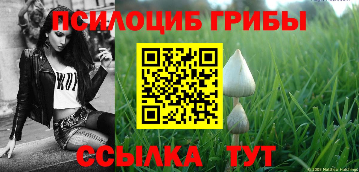 Псилоцибиновые грибы ЛСД Березники
